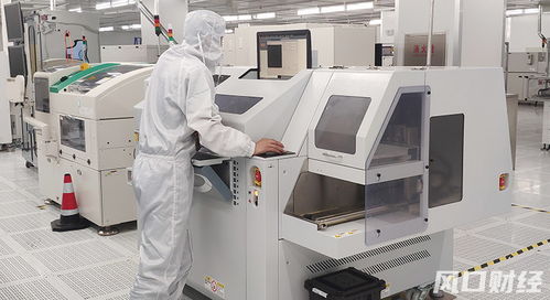 青股速递 青岛两家 尔系 企业共闯ipo,细分赛道龙头越来越受资金认可