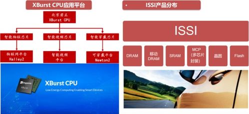 芯片微电子行业 mcu 脱水研报