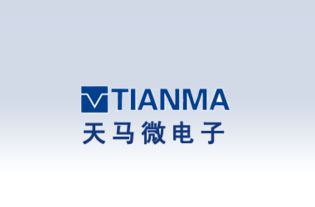 天马微电子的介绍