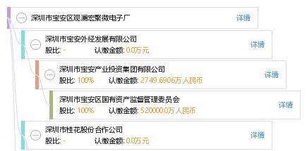深圳市宝安区观澜宏聚微电子厂